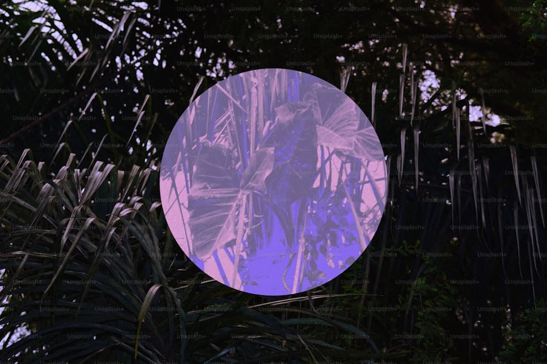 我国“哪吒闹海”与意大利“烈焰热情”在夜空磕碰！金山这场焰火秀你看了吗？